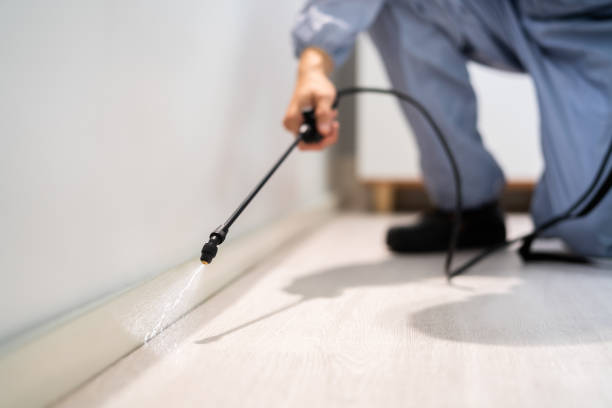 Licensed Pest Control service in Doolittle, TX - Nex Pest Control