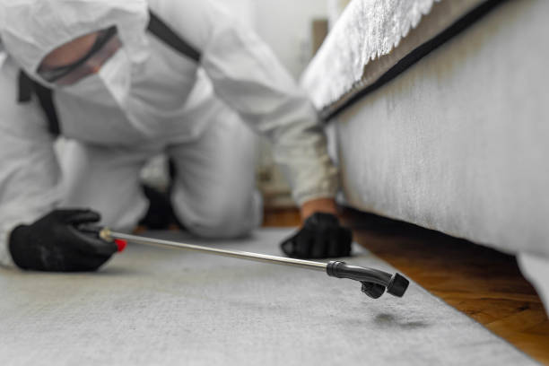 Professional Pest Control technician working in Doolittle, TX